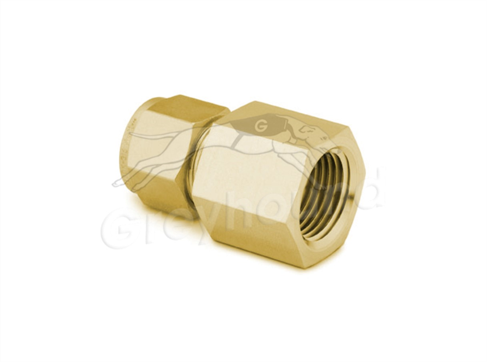 Picture of Female NPT Connector 1/8"T-1/4"P Brass Swagelok 
